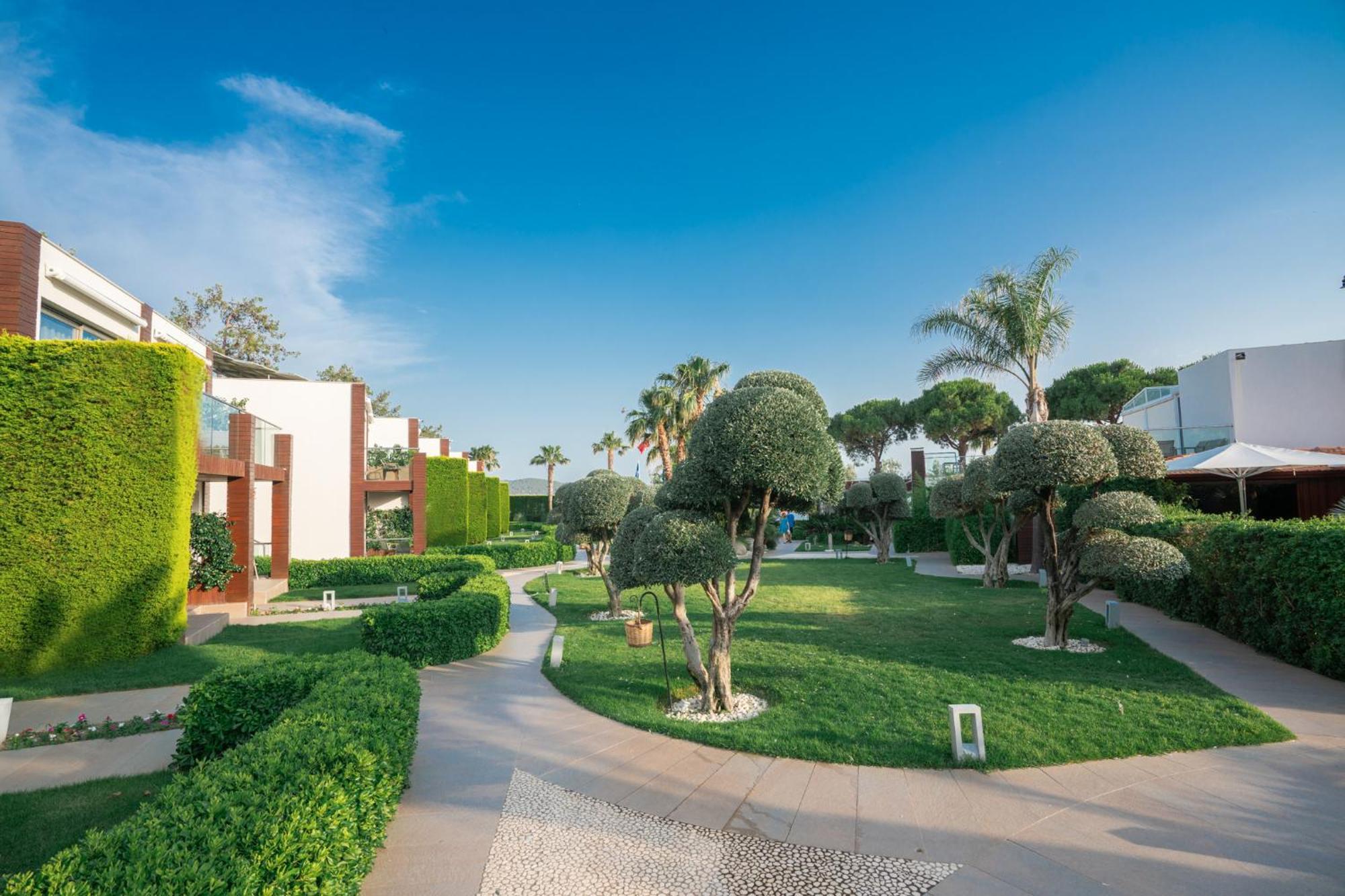 Ortunc Hotel - Cunda Island (Adults Only) Ayvalı Buitenkant foto