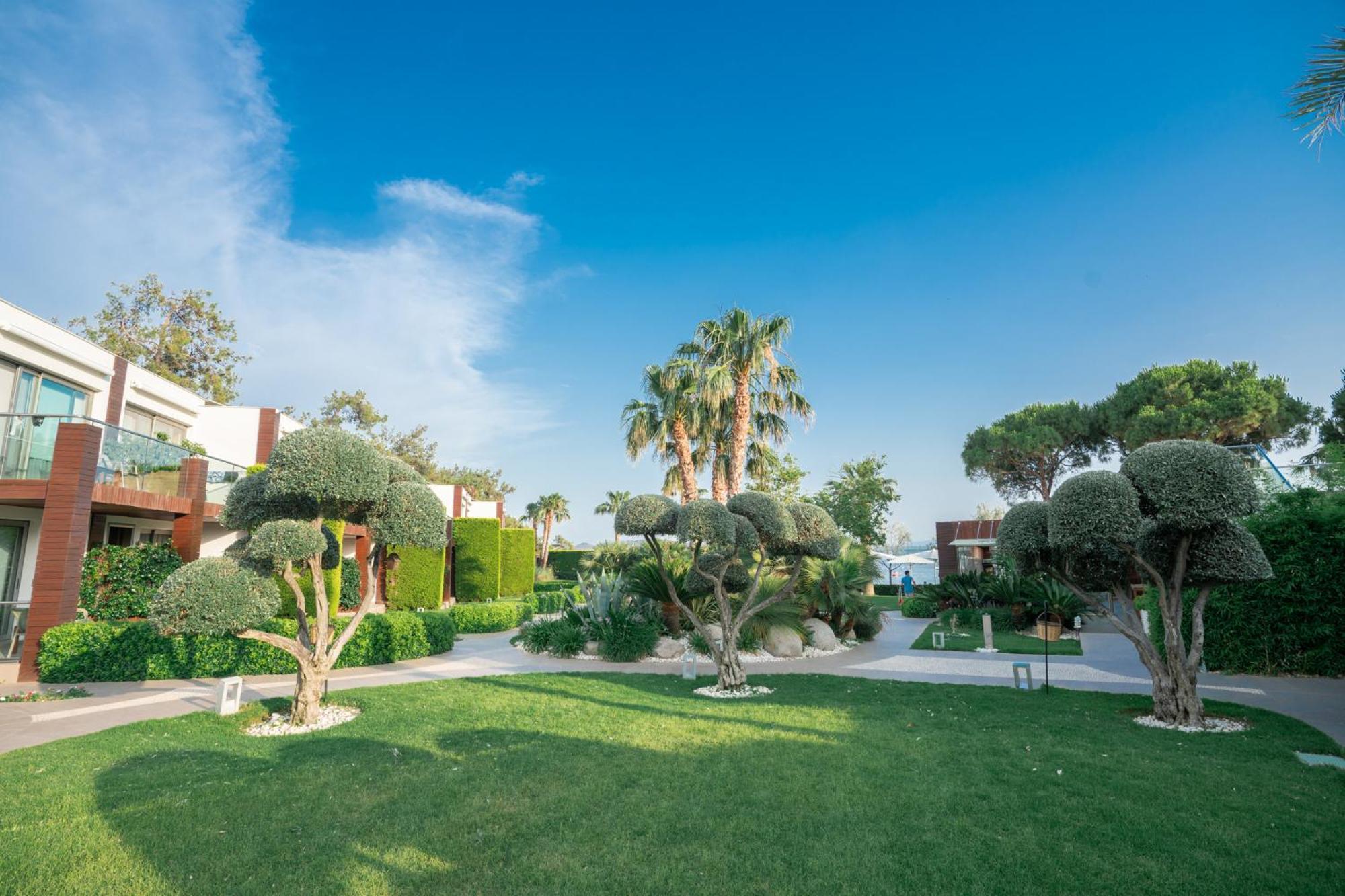 Ortunc Hotel - Cunda Island (Adults Only) Ayvalı Buitenkant foto