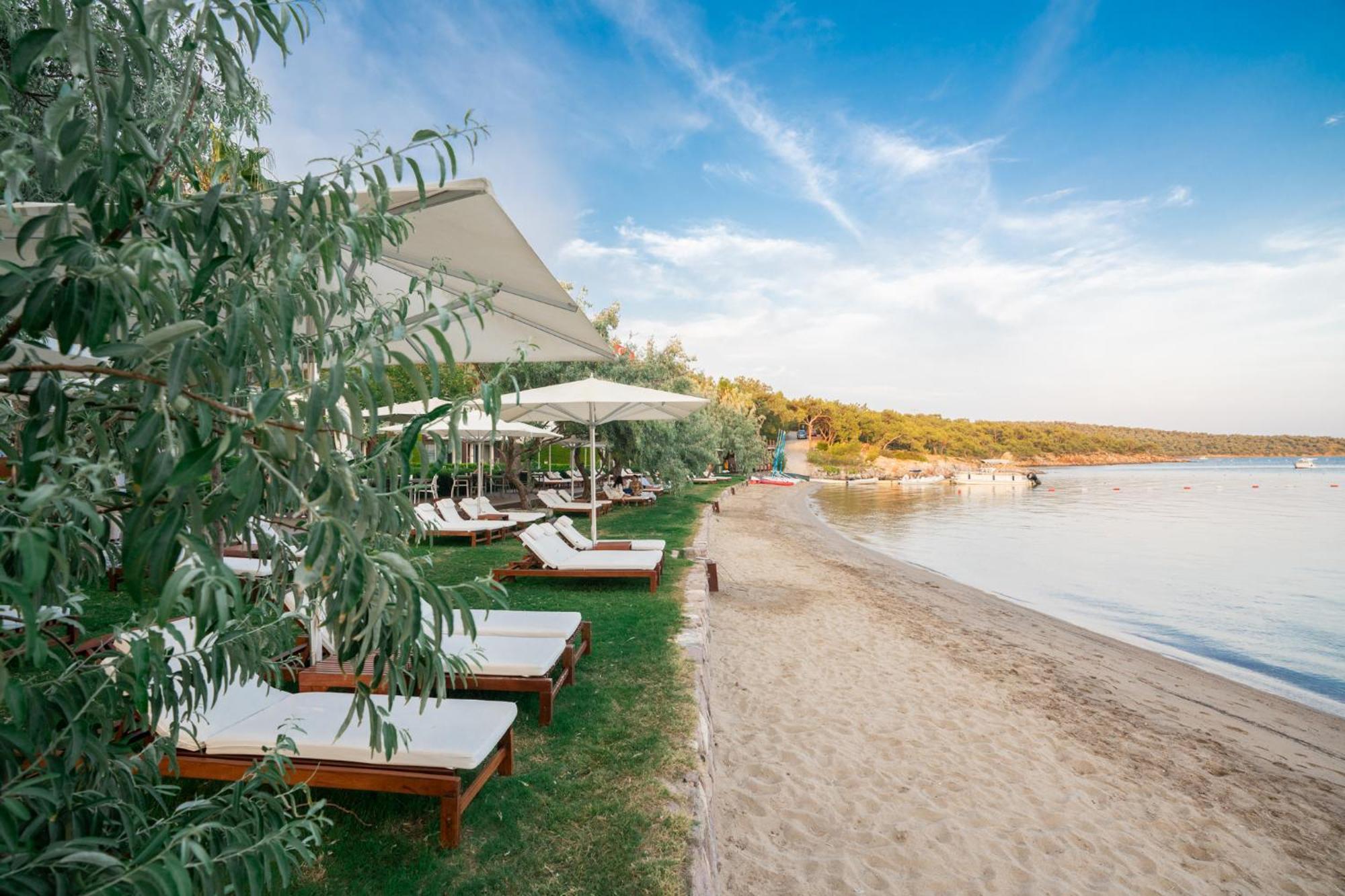 Ortunc Hotel - Cunda Island (Adults Only) Ayvalı Buitenkant foto