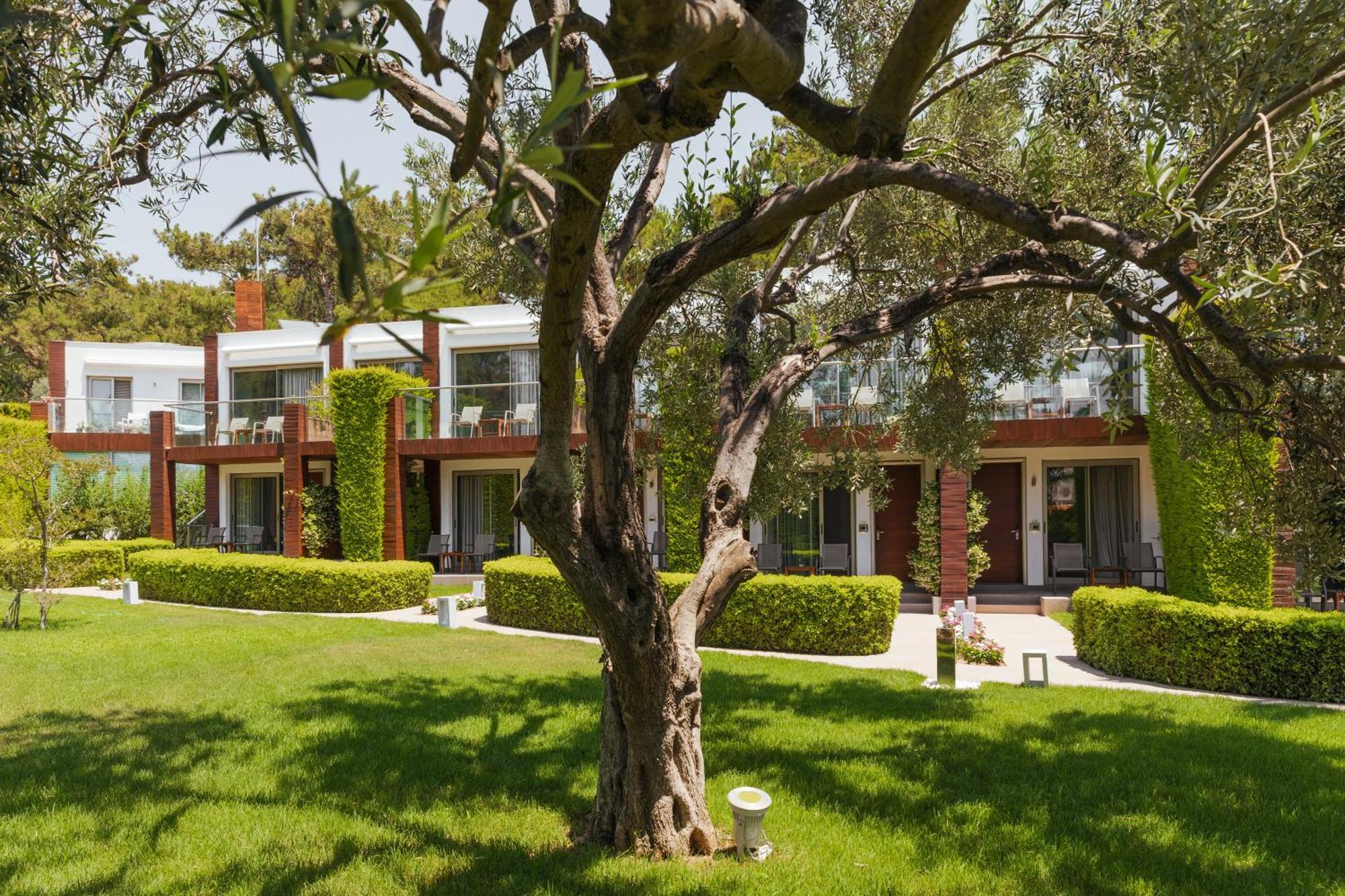 Ortunc Hotel - Cunda Island (Adults Only) Ayvalı Buitenkant foto