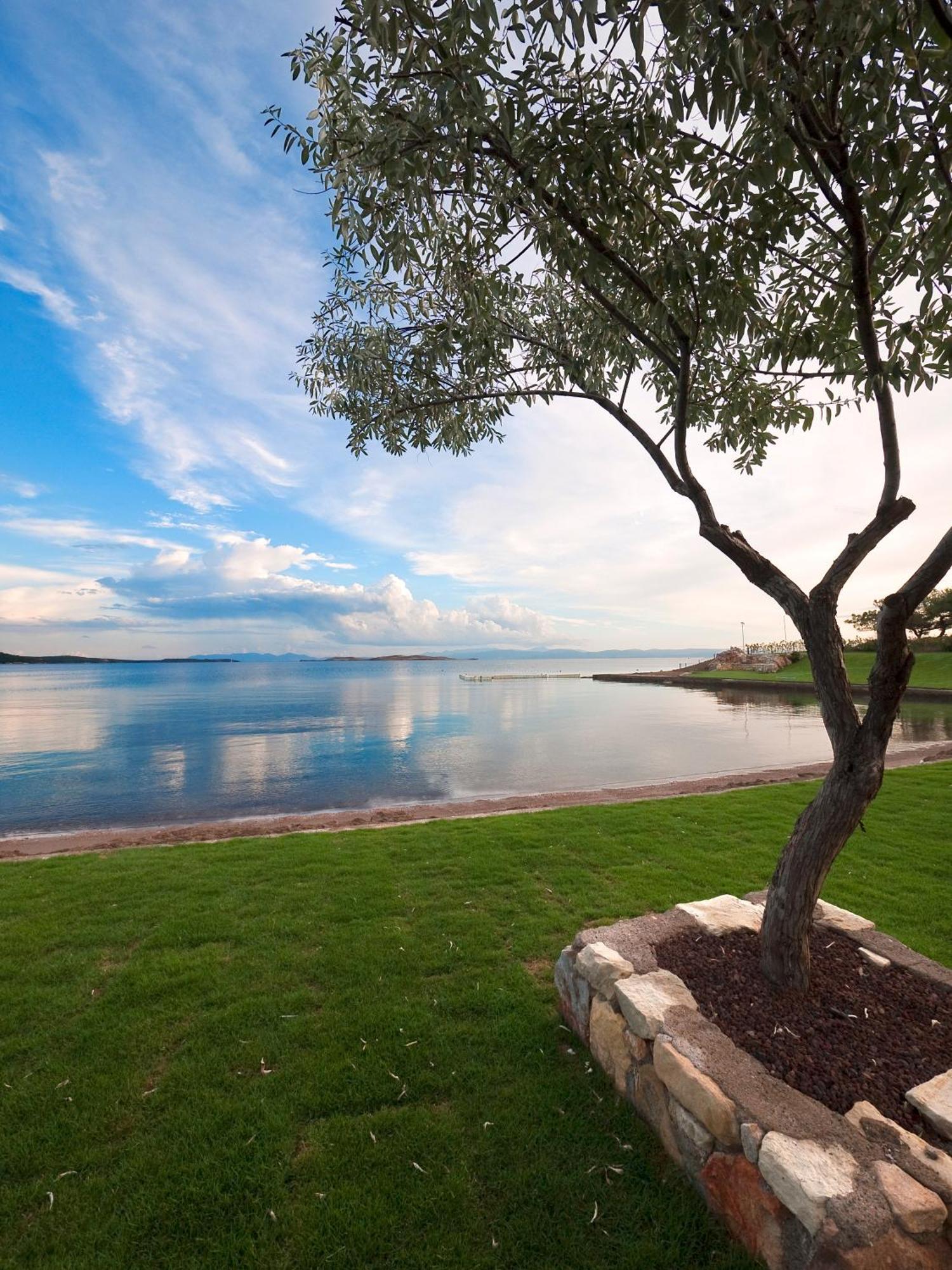 Ortunc Hotel - Cunda Island (Adults Only) Ayvalı Buitenkant foto